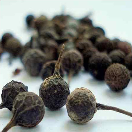 Allspices (Kababchini)