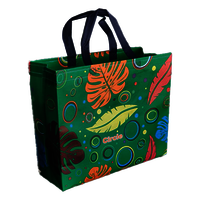 Non Woven Laminated Box Bags