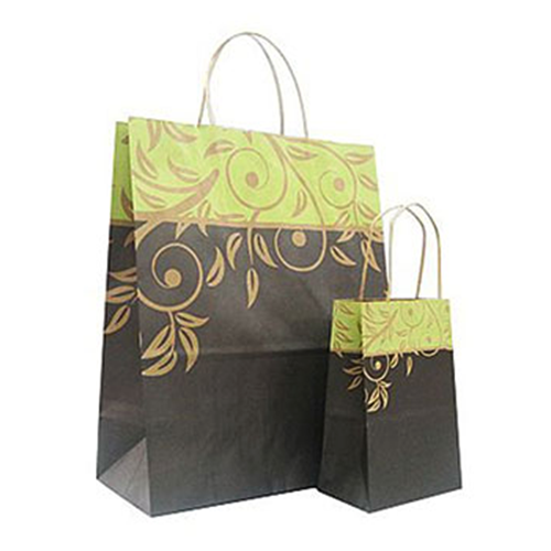 Customized Paper Shopping Bag By THE AGRO KING