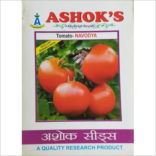 Tomato Navodya Hybrid Seeds