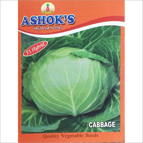 Common Cabbage Hybrid Seeds