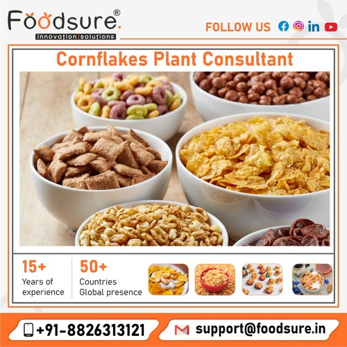 Cornflakes Plant Consultant