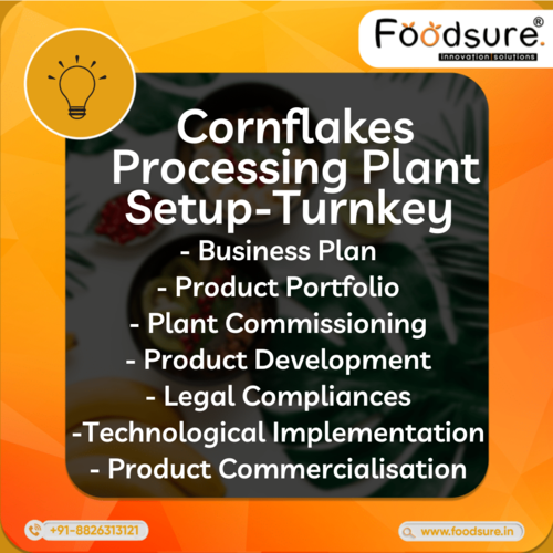 Cornflakes Plant Consultant