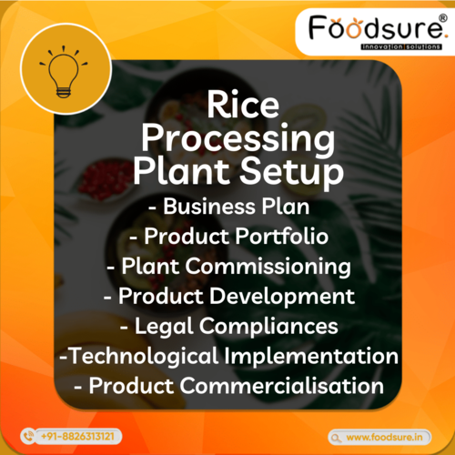 Rice Plant Processing Consultant