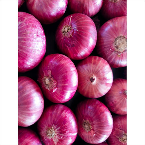 Fresh Red Onion