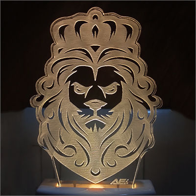 Acrylic 3D Illusion LED Night Lamp