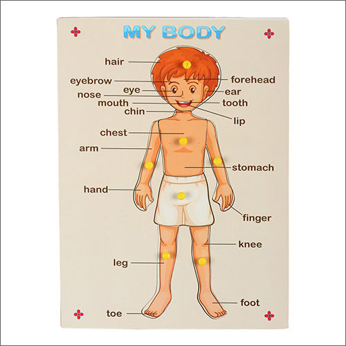 Body Parts Wooden Puzzle Age Group: 0-10