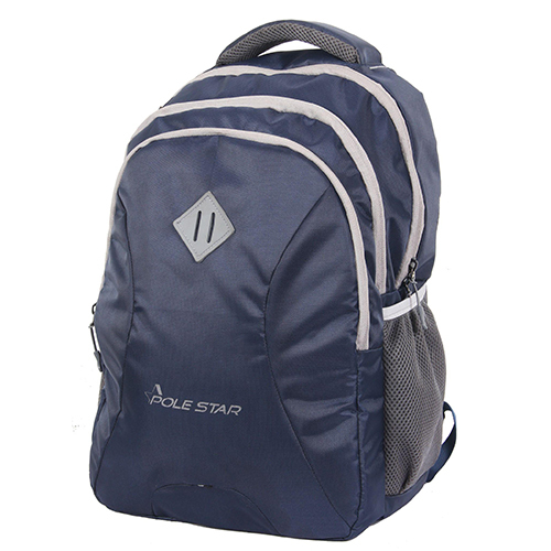Leader 34 L College/ School/ Office/ Casual/ Travel Backpack made with polyester