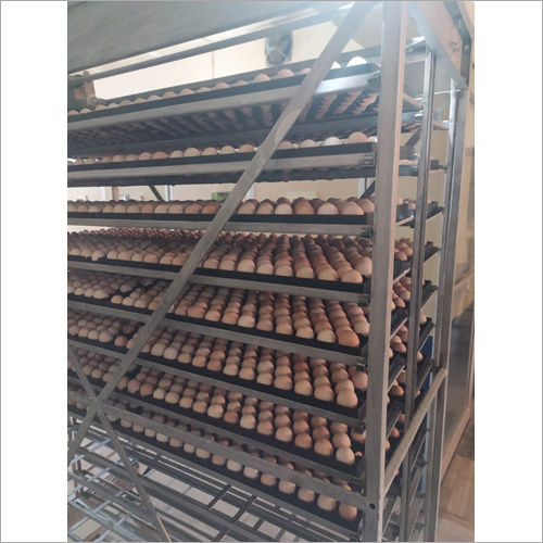 Sonali Poultry Eggs