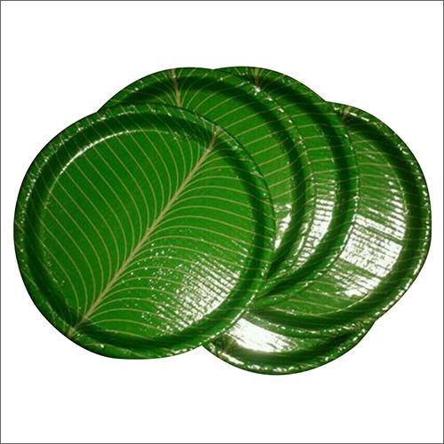 Green 10 Inch Disposable Plate