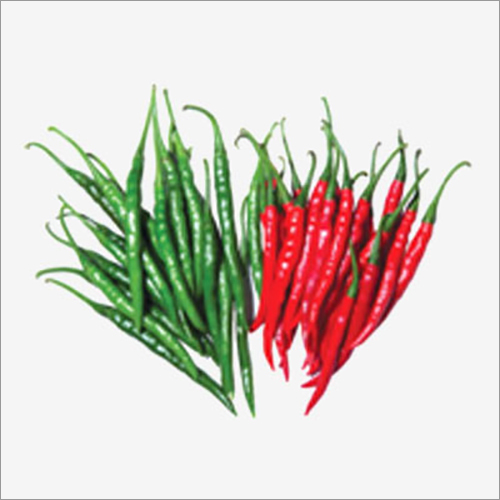 Red And Green Bat C - F1 Hybrid Chilli Seeds
