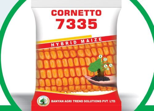 Cornetto 7335 - Hybrid Maize Seed