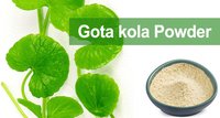 Gotukola Powder