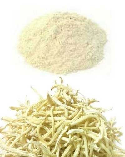 Safed Musli Root Powder