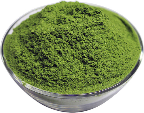 Wheat Grass Powder By ALL HERBSCARE