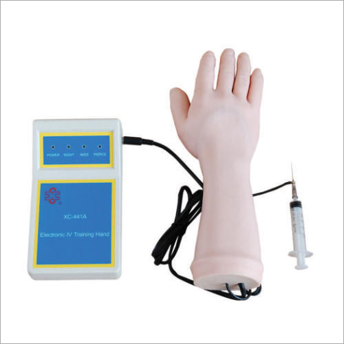 Electronic IV Training Hand and IV Training Hand Models