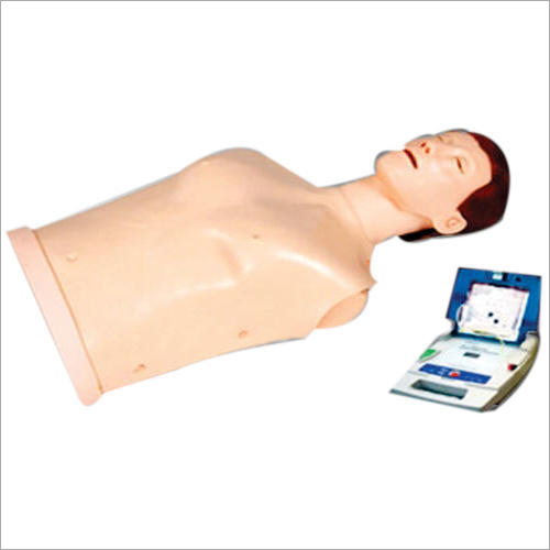 AED Simulator and CPR Manikin  Models Set