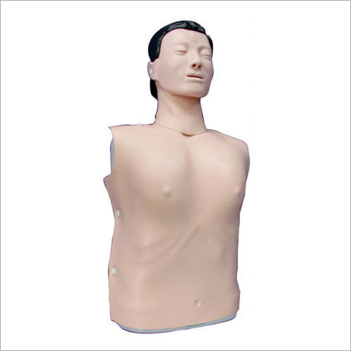 Half Body Male CPR Training Models