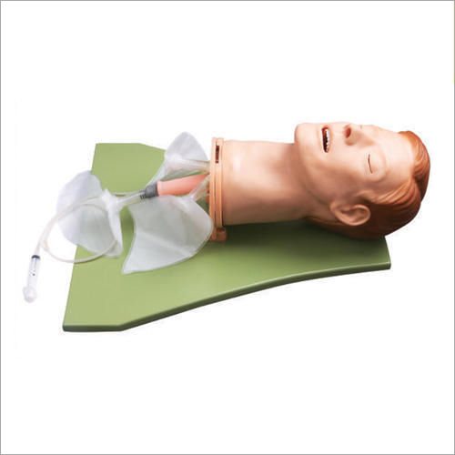 Multi Functional Airway Management Models