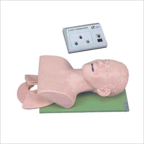 Electronic Trachea Intubation Training Mannequins