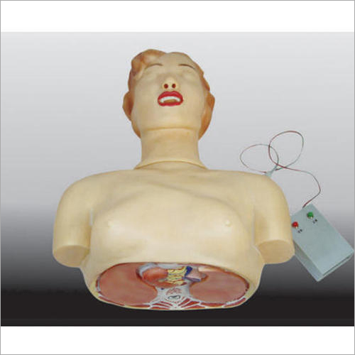 Half Body Basic CPR Mannequins with Monitor By DYNAMIC TRACOM PRIVATE LIMITED