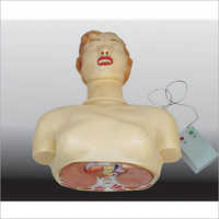 Half Body Basic CPR Mannequins with Monitor