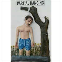 Forensic Partial Hanging Mannequins