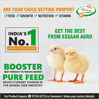 Poultry Feed Acidifier And Toxin Binder