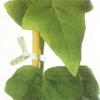 Twist Lock Ties