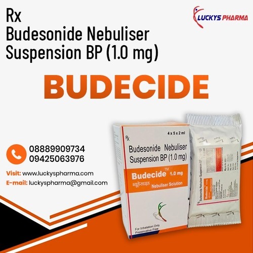 Budesonide 1 Nebulizer Solution