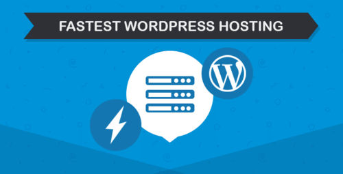 Wordpress Hosting Service , With Online Support