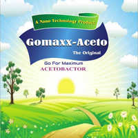 Acetobactor (Gomaxx- Aceto)