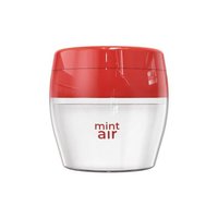 Mint Air Car Gel Air Freshener