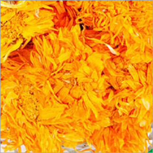 Dry Marigold Flower