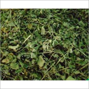 Fry Moringa Leaf - Dried, Bulk Packaging, Low Moisture Content | Nutrient-Rich, Versatile, Sustainable, High Purity