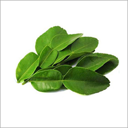 Dry Lemon Leaf