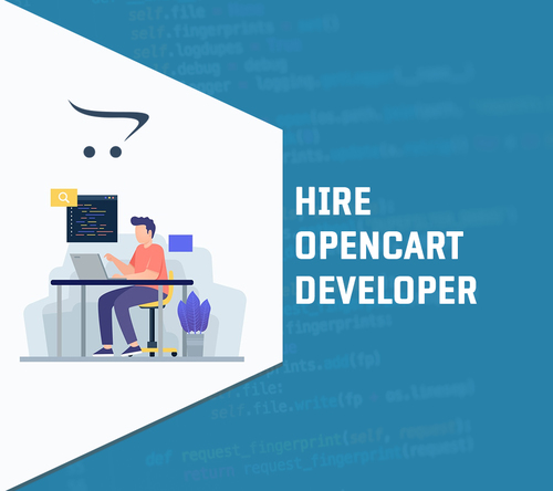 OpenCart store development store By LASSOART DESIGNS