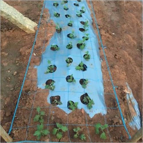 Crop Support Net for Agriculture