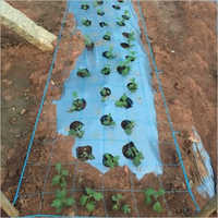Crop Support Net for Agriculture