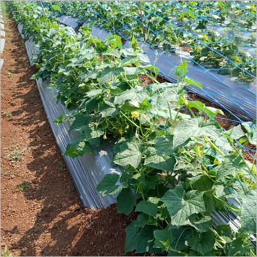 Crop Support  NET HDPE