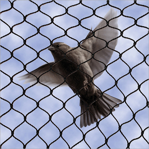 Plastic Pigeon Protection Net