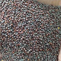 Common Mustard Seeds