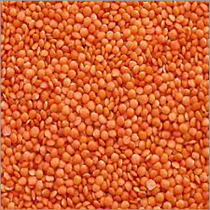 Skinless Whole  Red Lentil