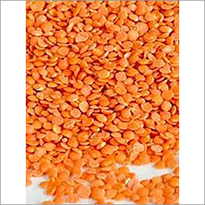 Red Lentils