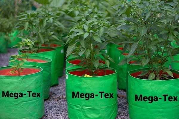 Megatex HDPE 200 GSM cylindrical Gardening Grow Bags ( Green)