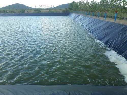 Mega Tex HDPE 500 Microns Water Retention Pond liner