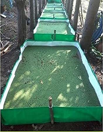 Megatex Azolla Cultivation Waterproof Bed, 12ft x 6ft x 1ft - HDPE 250 GSM (Green)