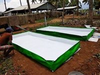 Megatex Azolla Cultivation Waterproof Bed, 12ft x 6ft x 1ft - HDPE 350 GSM  (Green)
