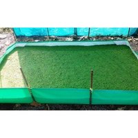 Megatex Azolla Cultivation Waterproof Bed, 12ft x 6ft x 1ft - HDPE 450 GSM  (Green)