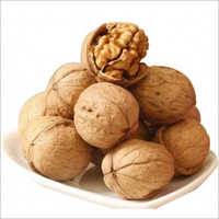 Brown Walnut Kernel